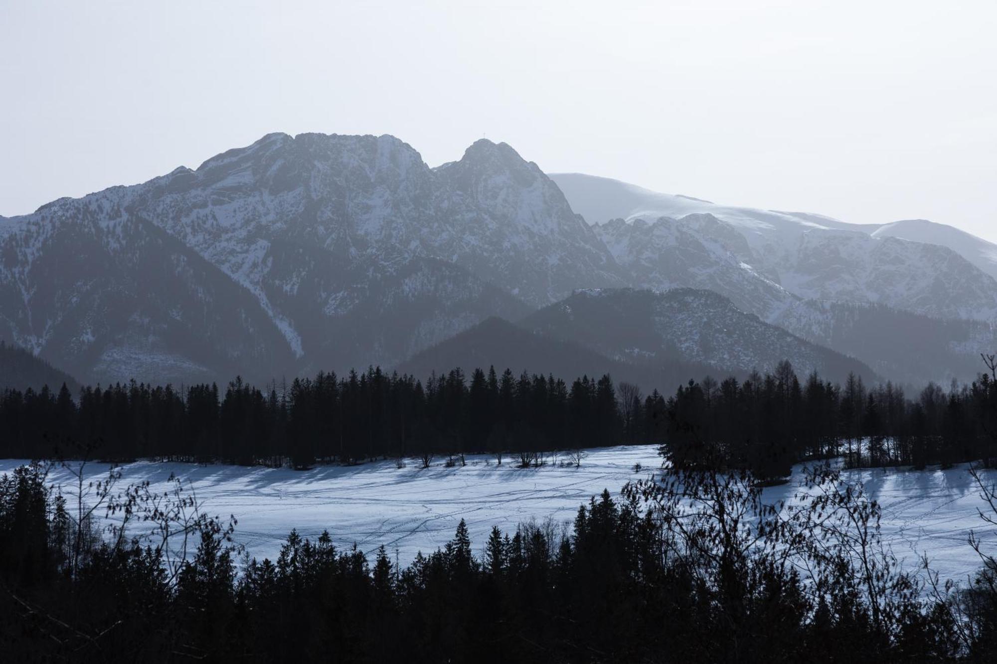 Apartamenty Bachledzki Wierch Zakopane Oda fotoğraf